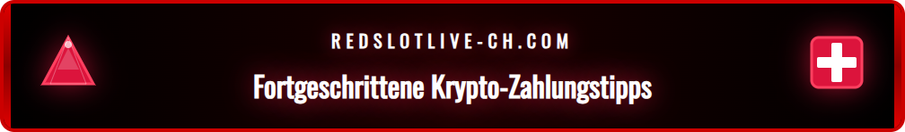 Infografik mit Expertentipps zur Optimierung von Krypto-Transaktionen.