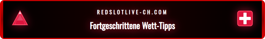 Infografik mit den besten Tipps und Tricks für Sportwetten-Angebote.