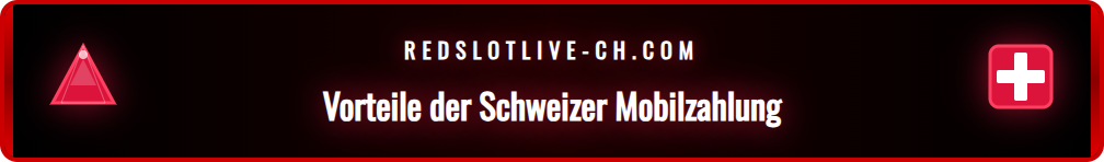Infografik der Vorteile von TWINT: Sicherheit und Geschwindigkeit.